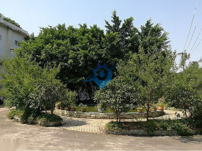 好厂房出售，价格优惠，花园式厂房，近火车站